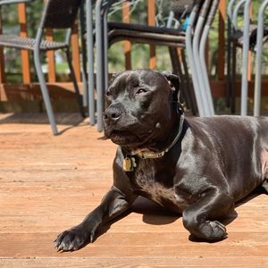 Meet your Posher, Christine